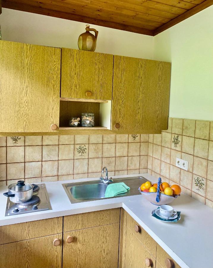 2 Apartment Taxenbach